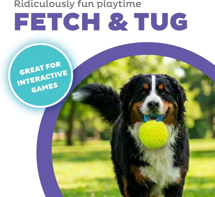 Outward Hound FlyFetch Giggle Ball yellow medium fetch-and-tug graphic