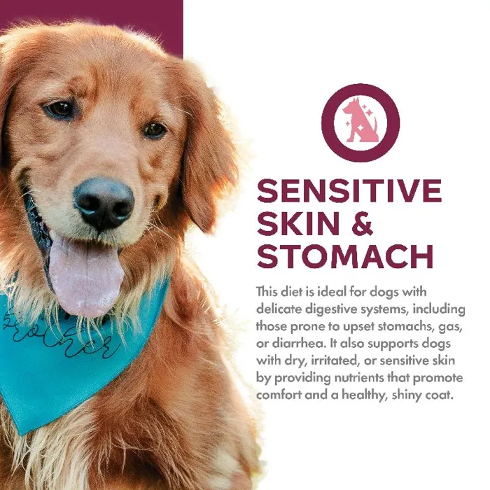 From Sensitive Skin Salmon & oats 12lb