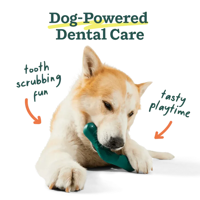 Woof Dog Toy Bite N Brush Large