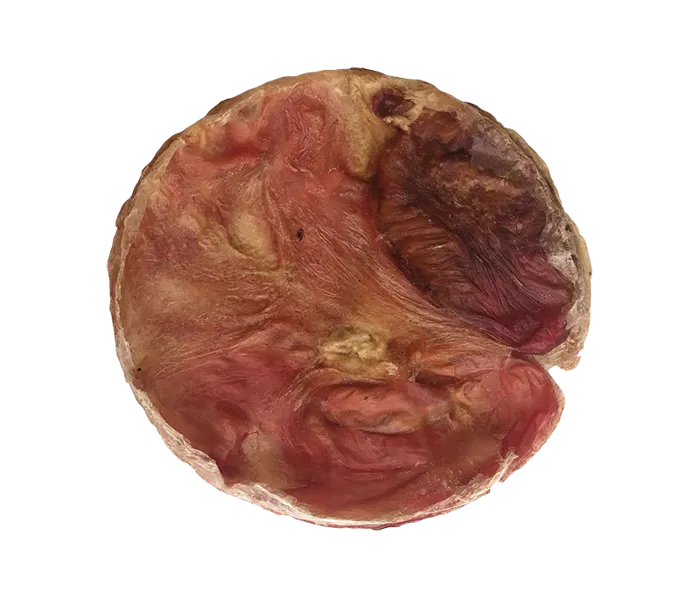 Home Range Furs-bee Beef Bladder Disc