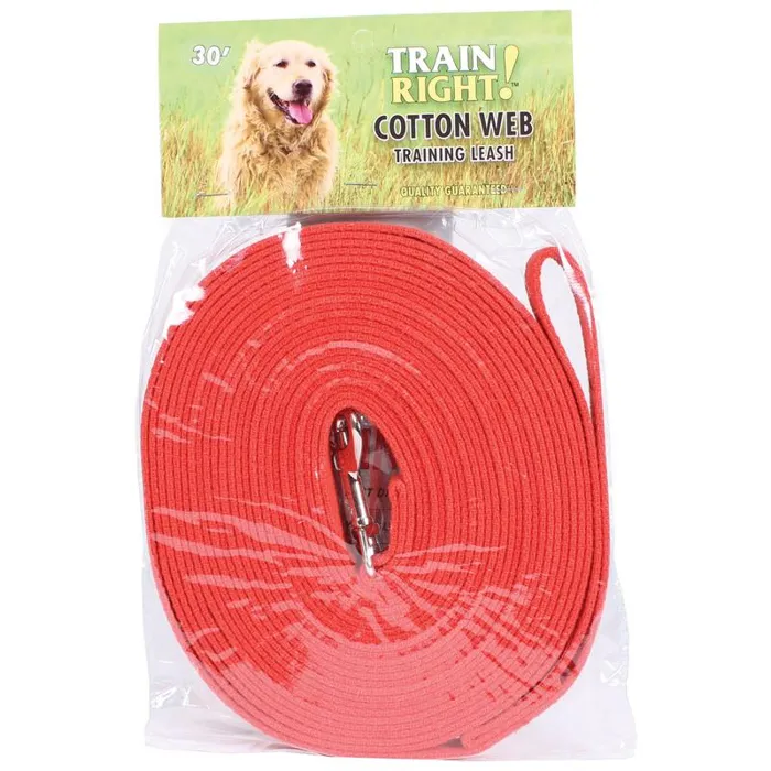 Cotton Web Dog Training Leash - Red 5/8" X 30'